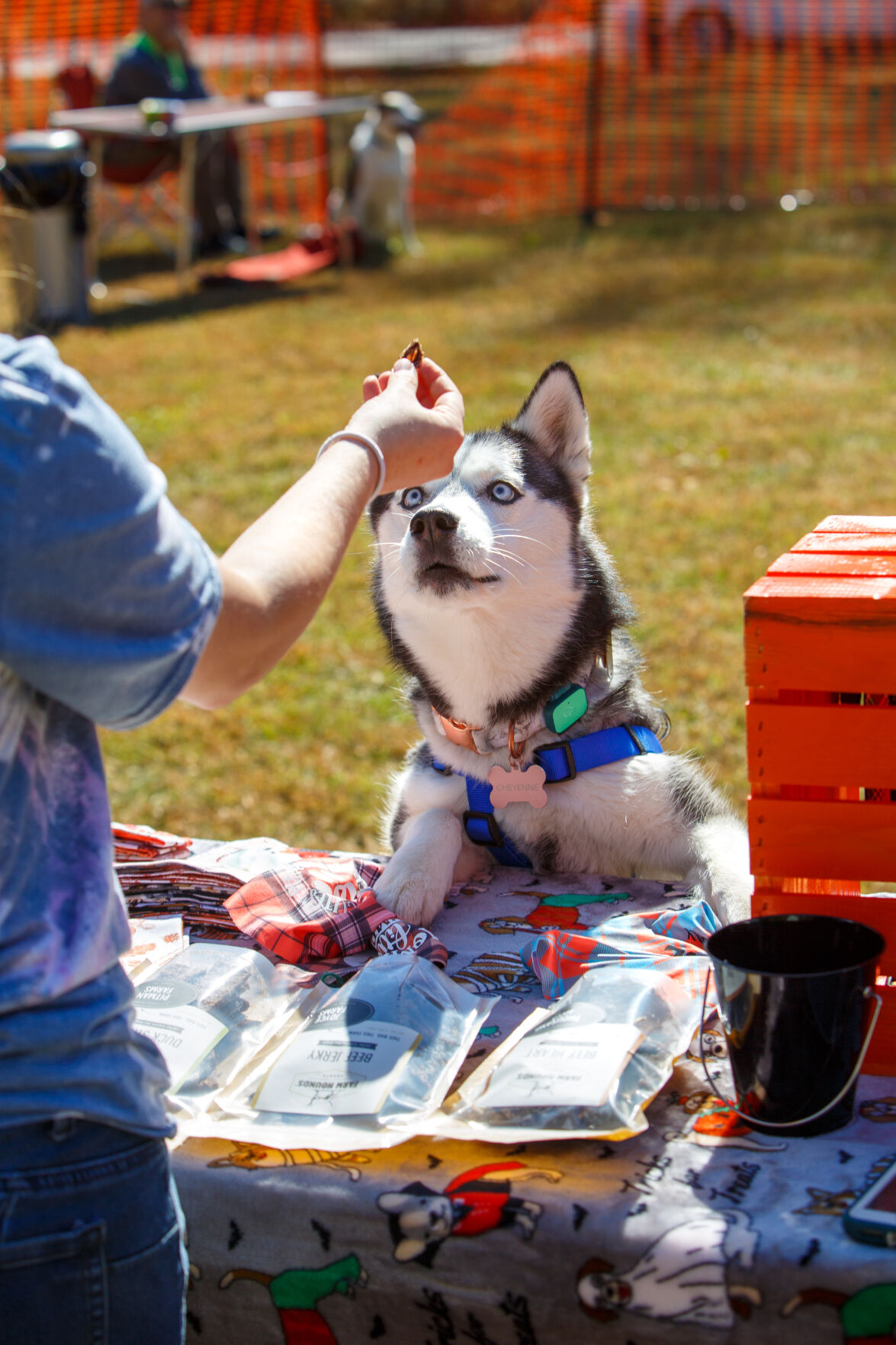 WSM Dogmore03 102322.jpg